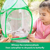 Geosafari Jr. Butterfly Bungalow