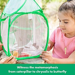 Geosafari Jr. Butterfly Bungalow