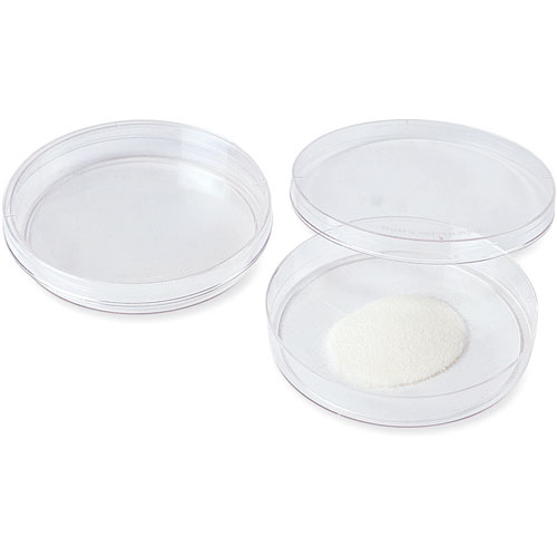 Petri Dishes with Agar (set/ 2) Raff and Friends