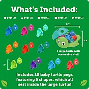 Seymour the Counting Shapes Sea Turtle