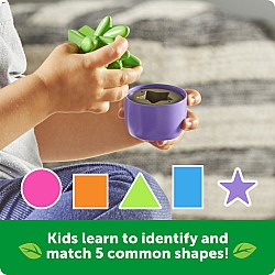 Shape and Color Garden