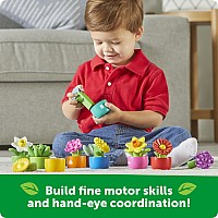 Shape and Color Garden