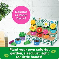 Shape and Color Garden