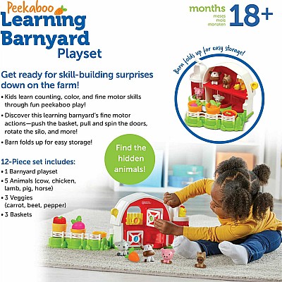 Peekaboo Learning Barnyard Playset