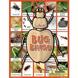 Bug Bingo