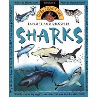 Explore and Discover: Sharks: Sharks