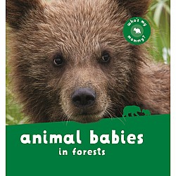 Animal Babies in Forests