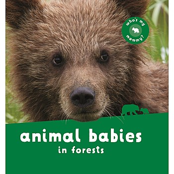 Animal Babies in Forests
