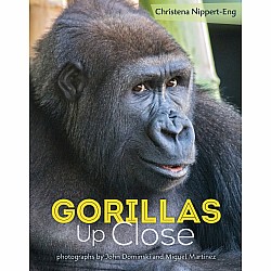 Gorillas Up Close