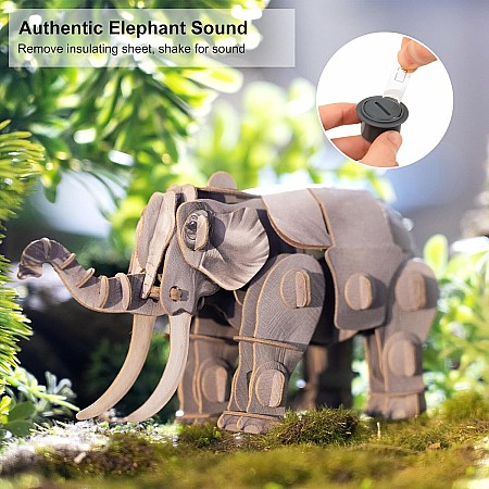 Voices of Nature Asian Elephant