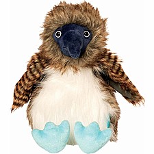 Benny The Blue Footed Boobie