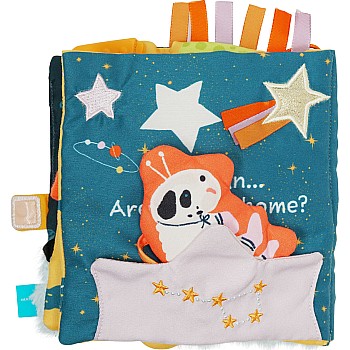 Little Rocket Finds Home