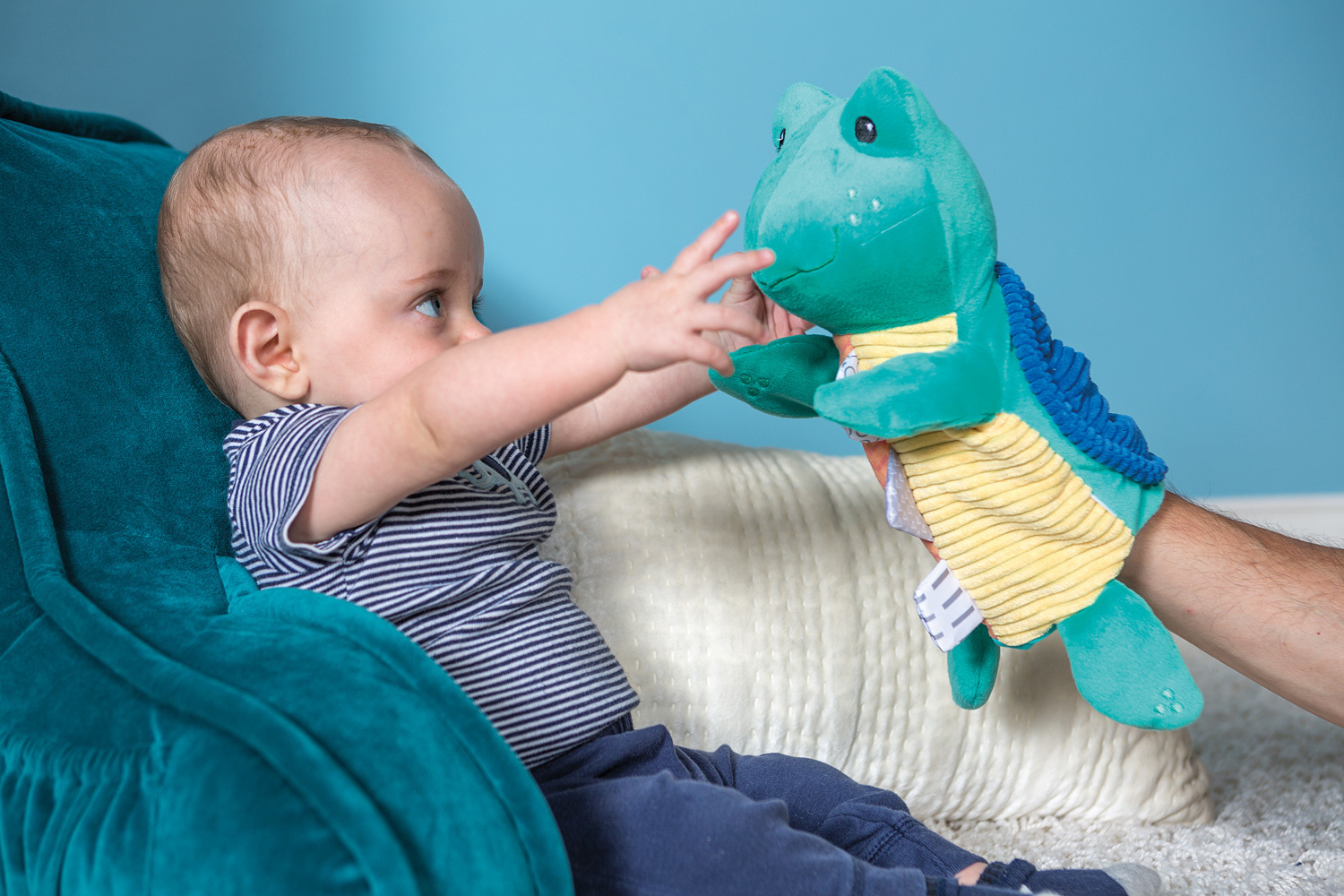 Baby einstein clearance turtle puppet