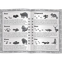 National Parks Jr Ranger Poop Tracks Card Game