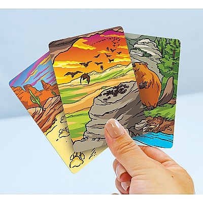 National Parks Jr Ranger Poop Tracks Card Game