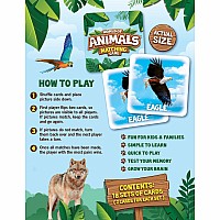 World of Animals Matching Game