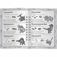 National Parks Jr Ranger - Dino Tracks Card Game