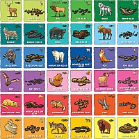 I Can Explore - Animal Poop Matching Game