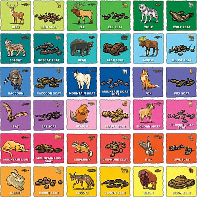 I Can Explore - Animal Poop Matching Game