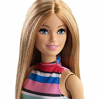 Barbie Doll And Accessories - FVJ42