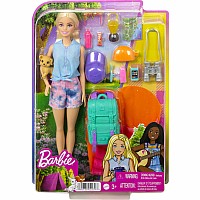 Barbie Doll And Accessories - HDF73