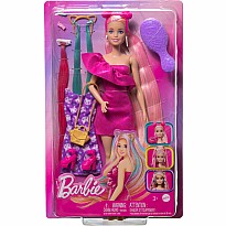 Barbie Fun & Fancy Hair doll and Accessories