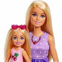 Barbie Dolls and Accessories