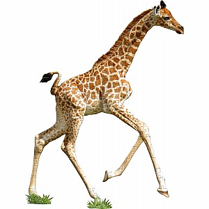 Madd Capp Puzzle Jr. - I Am Lil Giraffe