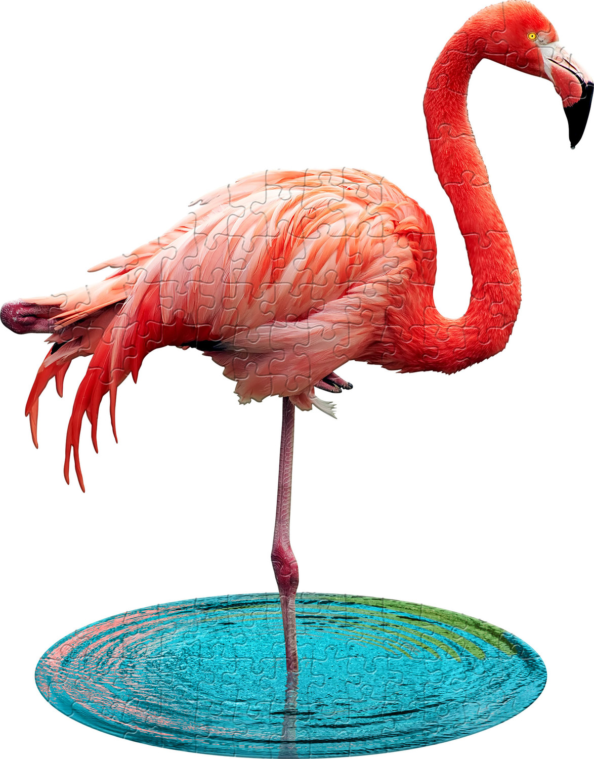 Madd Capp Puzzle Jr - I Am Lil Flamingo