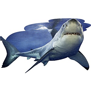 Madd Capp Puzzle Jr - I Am Lil' Shark