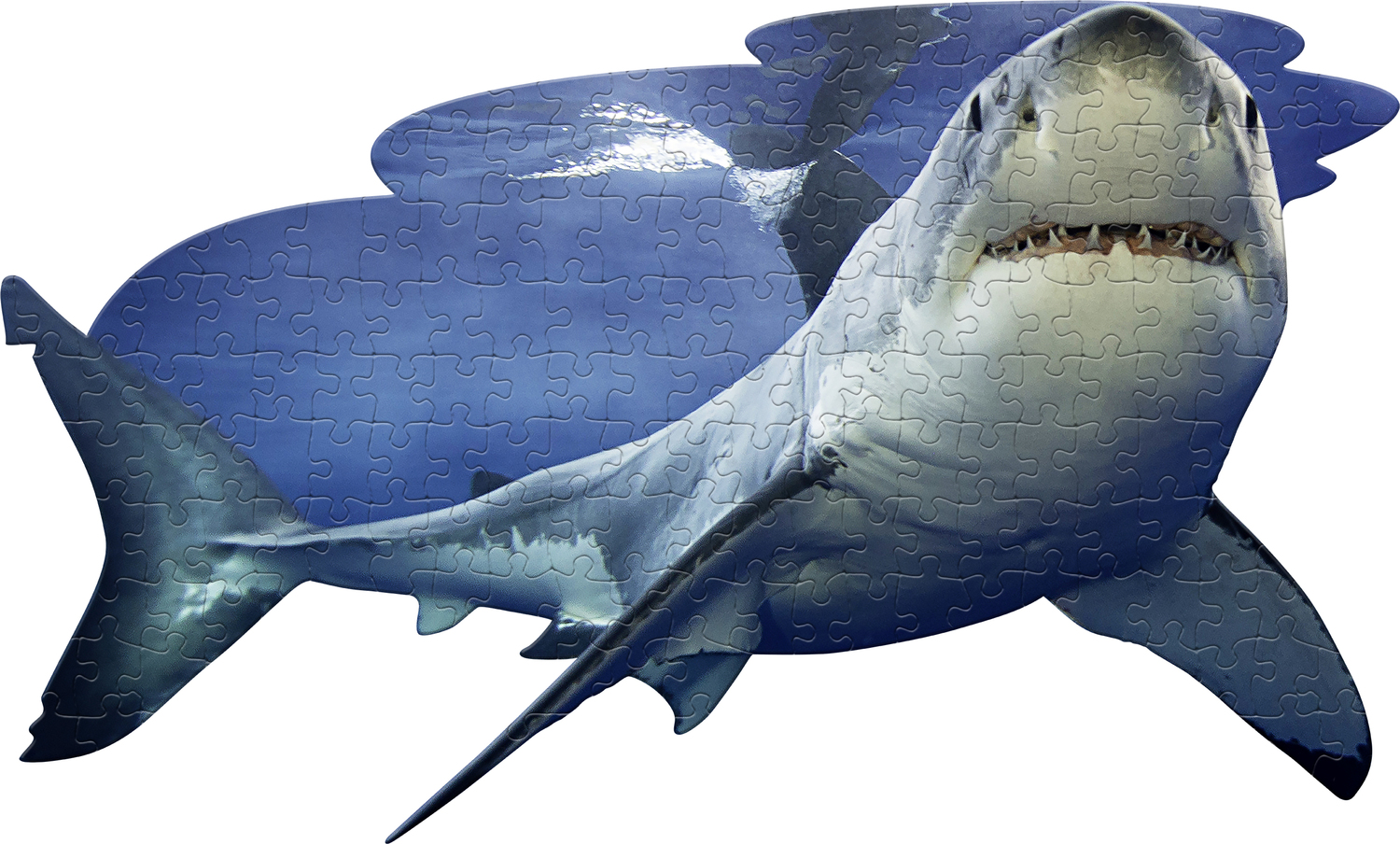 Madd Capp Puzzle Jr - I Am Lil' Shark