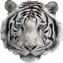Madd Capp Puzzle - I Am White Tiger 300-Piece