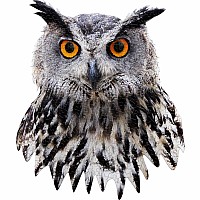 Madd Capp Puzzle - I Am Owl(300)