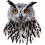 Madd Capp Puzzle - I Am Owl(300)