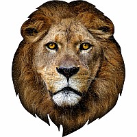 Madd Capp Puzzle - I Am Lion(300)