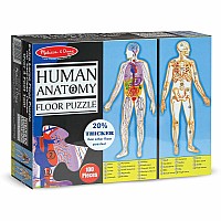 Human Body Floor (100 pc)