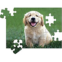 0030 pc Golden Retriever Puppy Cardboard Jigsaw