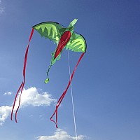 Winged Dragon Shaped Kite
