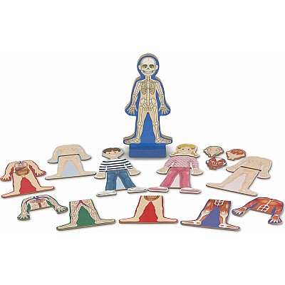 Magnetic Human Body Play Set