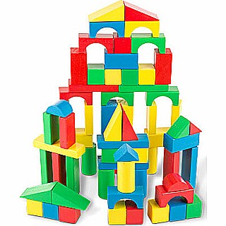 100 Piece Wood Blocks Set