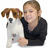 Jack Russell Terrier  Plush