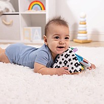 Ocean Tummy Time Triangle Baby Toy