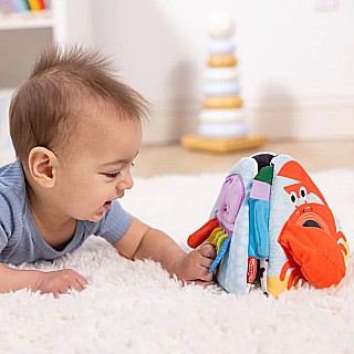 Ocean Tummy Time Triangle Baby Toy