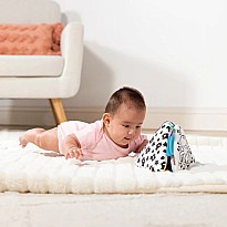 Ocean Tummy Time Triangle Baby Toy