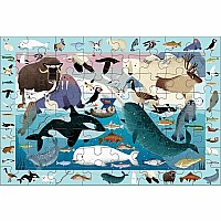 Arctic Life Search & Find Puzzle