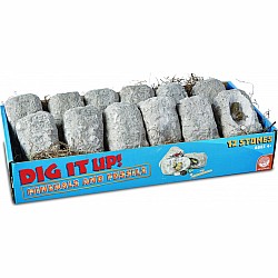 Dig It Up!: Minerals And Fossils