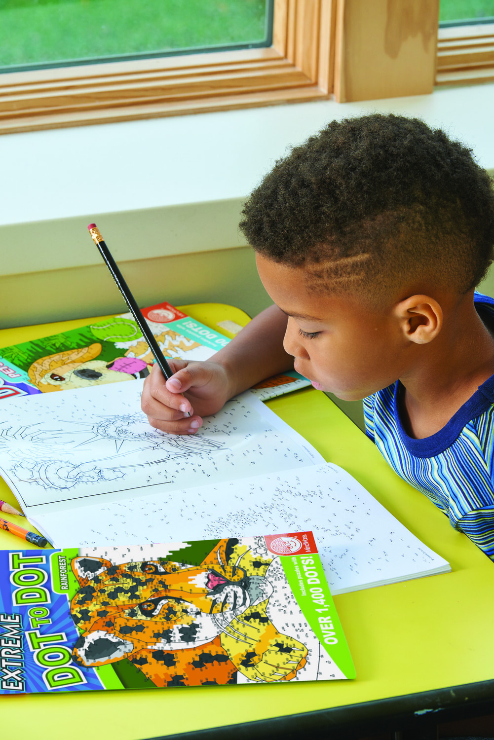 Extreme Dot To Dot Rainforest Kite and Kaboodle