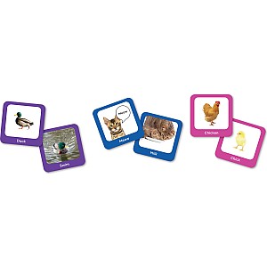 SEEK-A-BOO MIX-AND-MATCH MEMORY GAME
