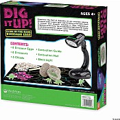 Dig It Up! Glow-in-the-Dark Dinosaurs