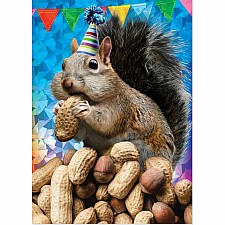 Foil: Go Nuts! Card